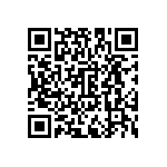 DAV3W3P300G405JLF QRCode