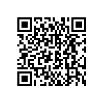 DBMG-13C3P-J-K87 QRCode