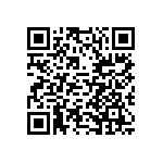 DBMK17W2SA101A222 QRCode