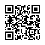 DBMMG13X3PJK87 QRCode