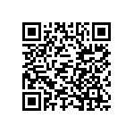 DBMT13W3P0L4A191K87 QRCode