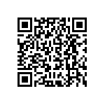 DBMT17H2P0L4A191K87 QRCode