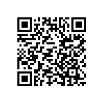 DBMT21W1P0L4A191K87 QRCode