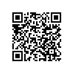 DCM13W6S0L4A197 QRCode