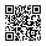 DCMZ17H5PNK87 QRCode