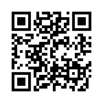 DD11-0113-1111 QRCode