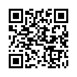 DDMMZ43W2PNK87 QRCode