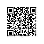 DDMT36W4P0L4A191K87 QRCode