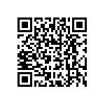 DDMT36X4P0L4A191 QRCode