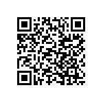 DDMX43X2P0L4A191K87 QRCode