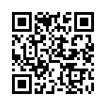 DDZX10C-13 QRCode