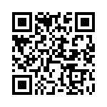 DDZX22D-13 QRCode