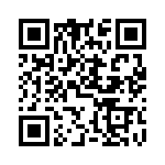 DDZX9V1C-13 QRCode