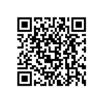 DE1B3KX101KN4AN01F QRCode