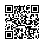 DE9PK87A191 QRCode