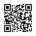 DF3-13P-2V-20 QRCode