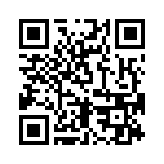 DF38099FP4V QRCode