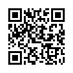 DF3DZ-4P-2H-20 QRCode