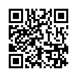 DF3E-4P-2H-20 QRCode