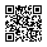 DF9A-13S-1V-22 QRCode