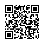 DM303007 QRCode