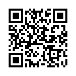 DP4RSA60D20B2 QRCode