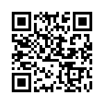 DP4RSA60D40B2 QRCode