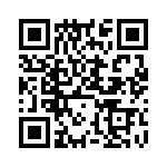 DP4RSA60E20 QRCode