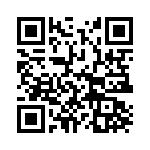 DP4RSA60E20B2 QRCode