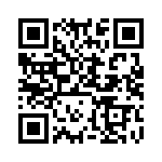 DP4RSA60E40B QRCode