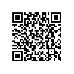 DT13-24PAB-R015 QRCode