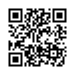 DT46304 QRCode