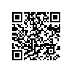 DW-02-09-F-D-300-004 QRCode