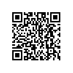 DW-02-12-F-D-205-LL-002 QRCode