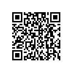 DW-02-15-TM-S-300 QRCode