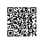 DW-02-17-T-S-256 QRCode