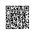 DW-03-09-G-S-313 QRCode