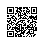 DW-03-13-T-S-765 QRCode