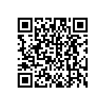 DW-03-13-T-S-940 QRCode