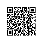 DW-03-15-G-S-295 QRCode