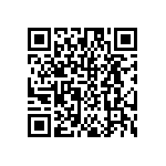 DW-03-15-T-S-370 QRCode