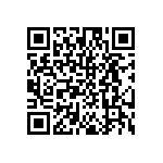 DW-03-15-T-S-384 QRCode