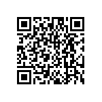 DW-03-16-T-S-295 QRCode