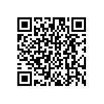 DW-03-17-T-S-256 QRCode