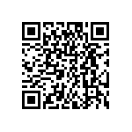 DW-04-07-G-D-295 QRCode