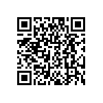 DW-04-07-T-S-213 QRCode