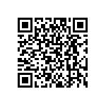 DW-04-09-T-S-400 QRCode