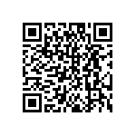 DW-04-11-T-S-787 QRCode