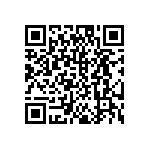 DW-04-12-T-S-704 QRCode