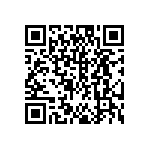 DW-04-13-F-S-975 QRCode